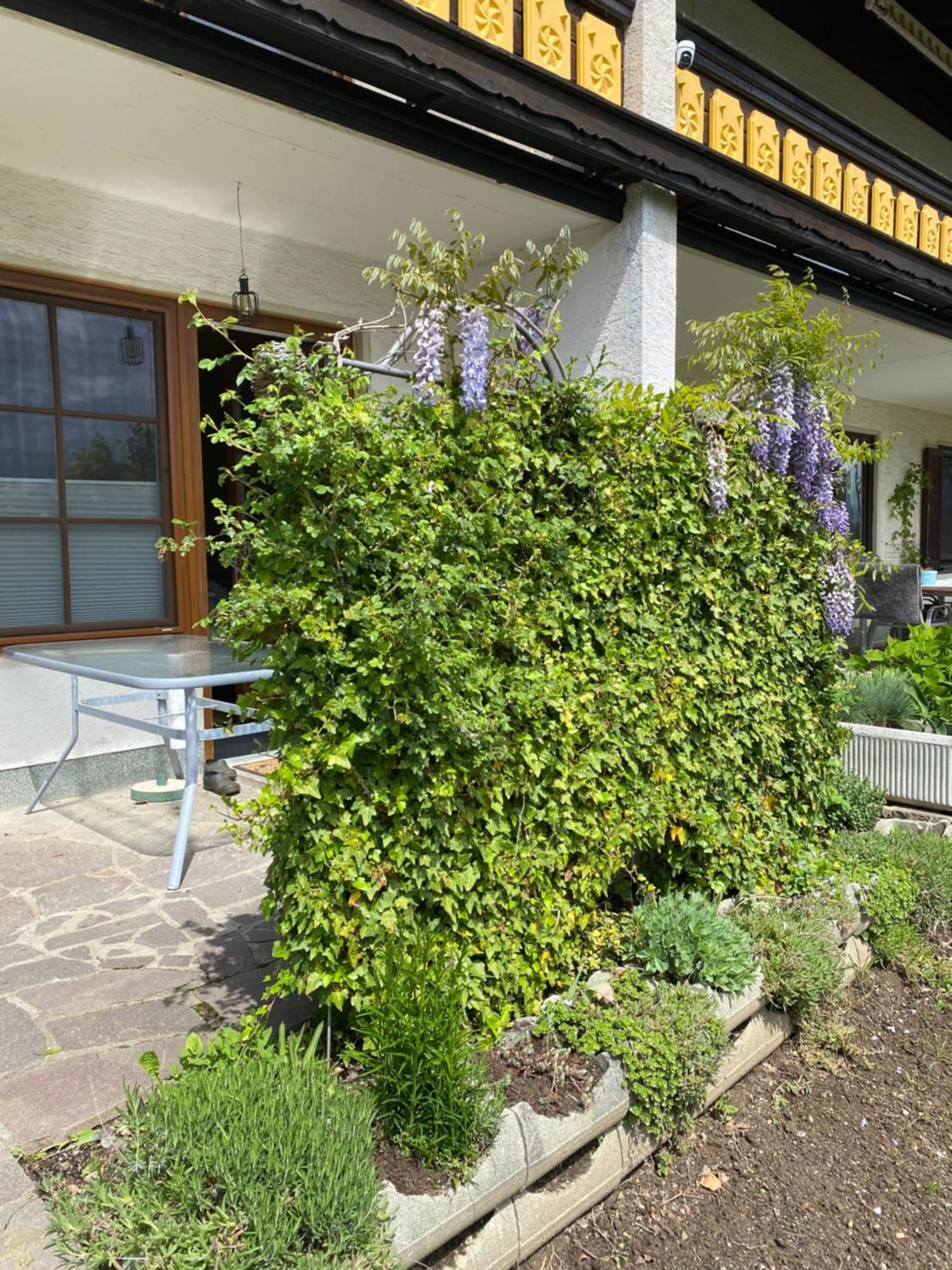 Fewo Marielle Seeboden Exterior foto